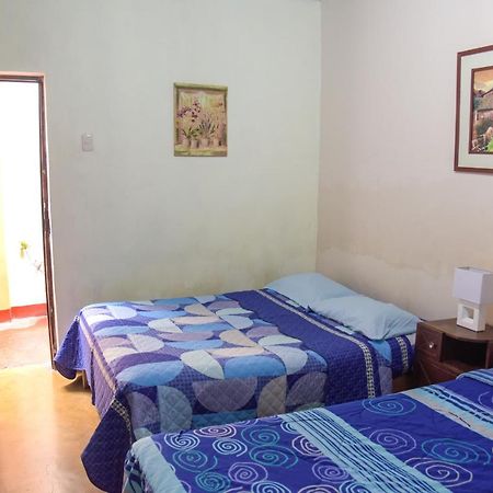Brabant Hostal Nazca Extérieur photo